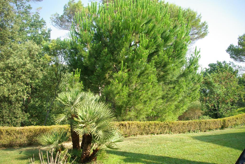 Domaine Les Cigales Couette-café
